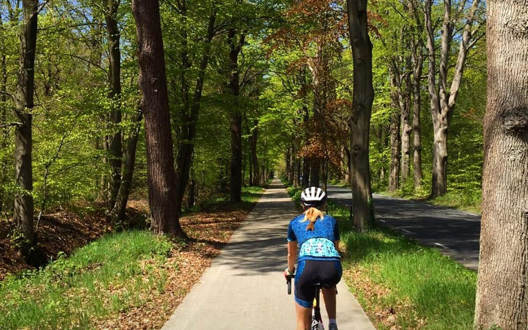 Mijn favoriete fietsroutes in Noord-Nederland