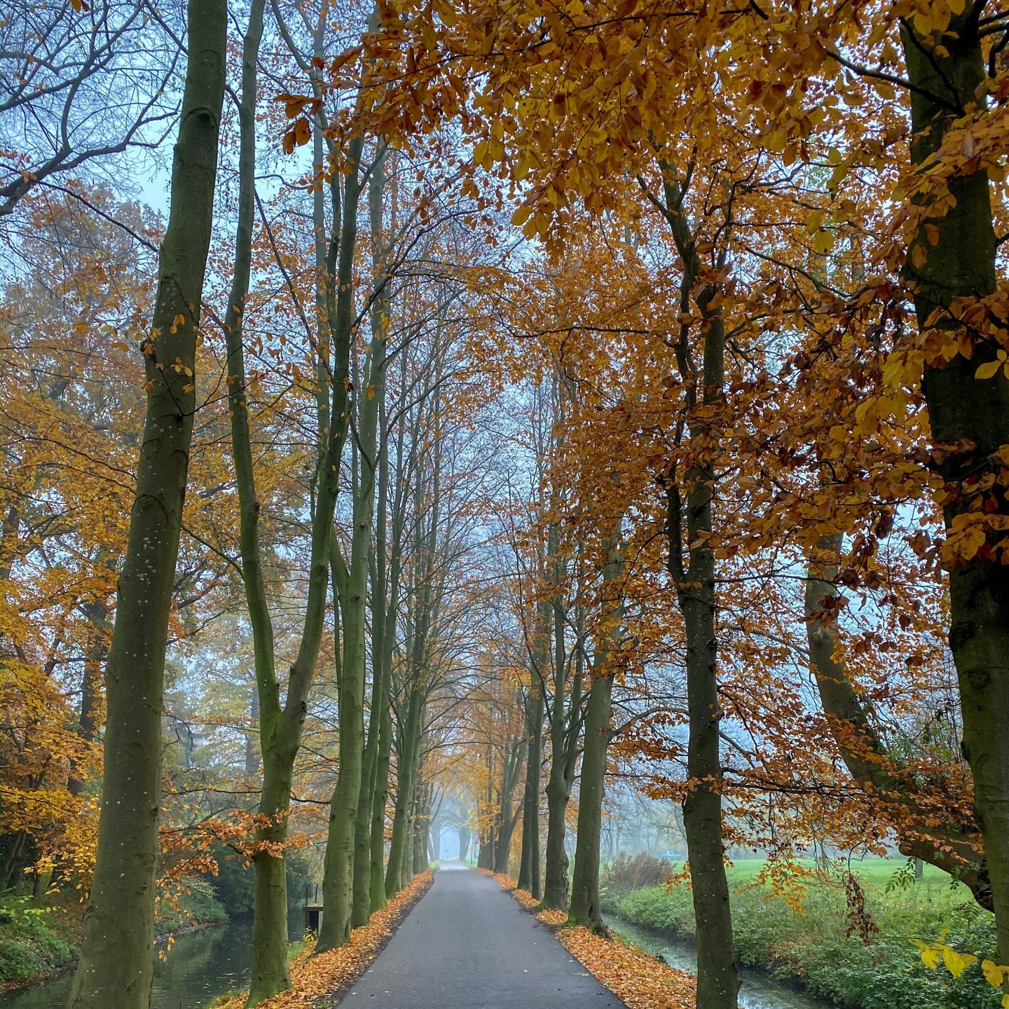 Road to Tokyo: nog 14 weken