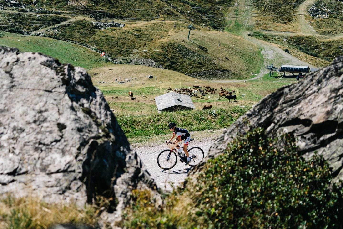 Road to Alpentocht 2020